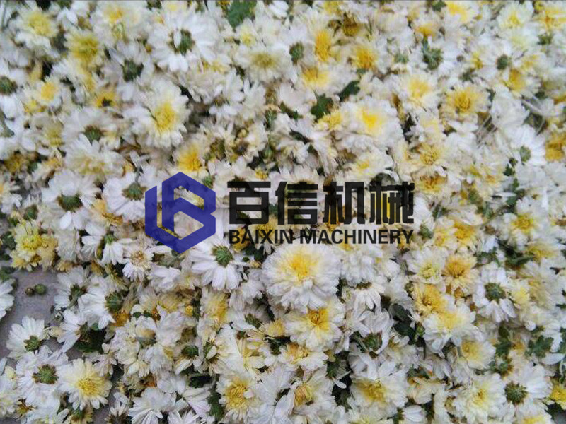 菊花烘干機在贛鄱大地顯身手，葡萄干品質營銷雙豐收